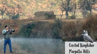 Rare Kingfishers of the Himalayas - Gem of Margalla Hills #pakistan