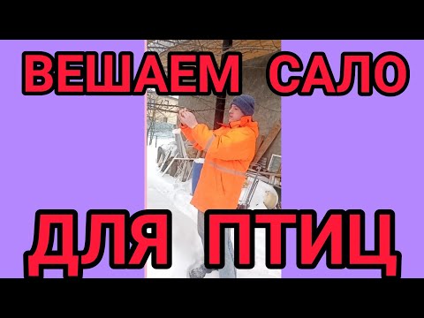 САЛО ДЛЯ СИНИЦ