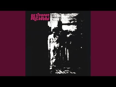 Buzzcocks — Lester Sands