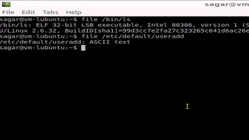 file command in Linux