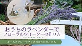 ラベンダーレシピ ピロースプレーの作り方 Youtube ラベンダーレシピ ピロースプレーの作り方 Youtube
