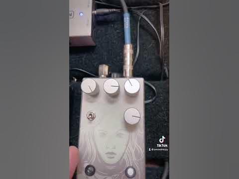 Walrus Audio Julia! - YouTube