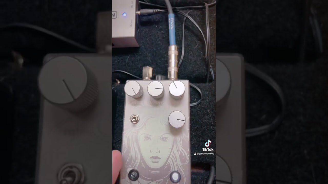 Sunfish Audio Forest Fuzz (by Tim) - YouTube