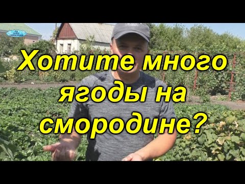 Что обязательно нужно