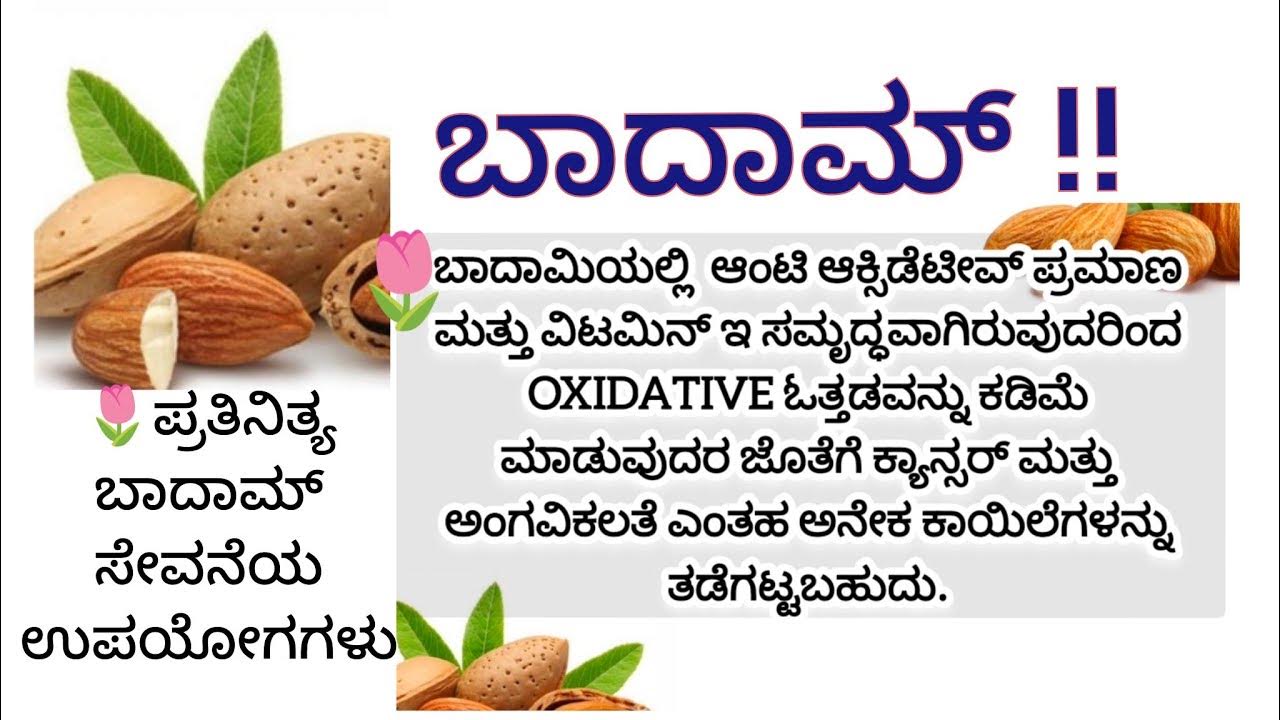 Useful information Almonds eating health benefits 