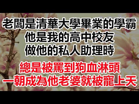 老闆是清華大學畢業的學霸，他是我的高中校友，做他的私人助理時，總是被罵到狗血淋頭，一朝成為他老婆就被寵上天