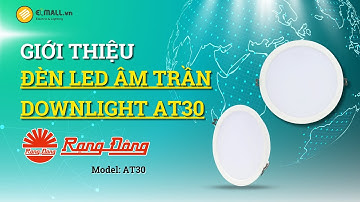 Đèn LED Âm Trần Downlight Rạng Đông AT30 | 20W - 30W | Lỗ khoét 155 - 195 (mm) | ELMALL