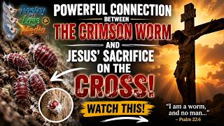 The Crimson Worm Prophecy: The Shocking Connection to Jesus’ Sacrifice on the Cross