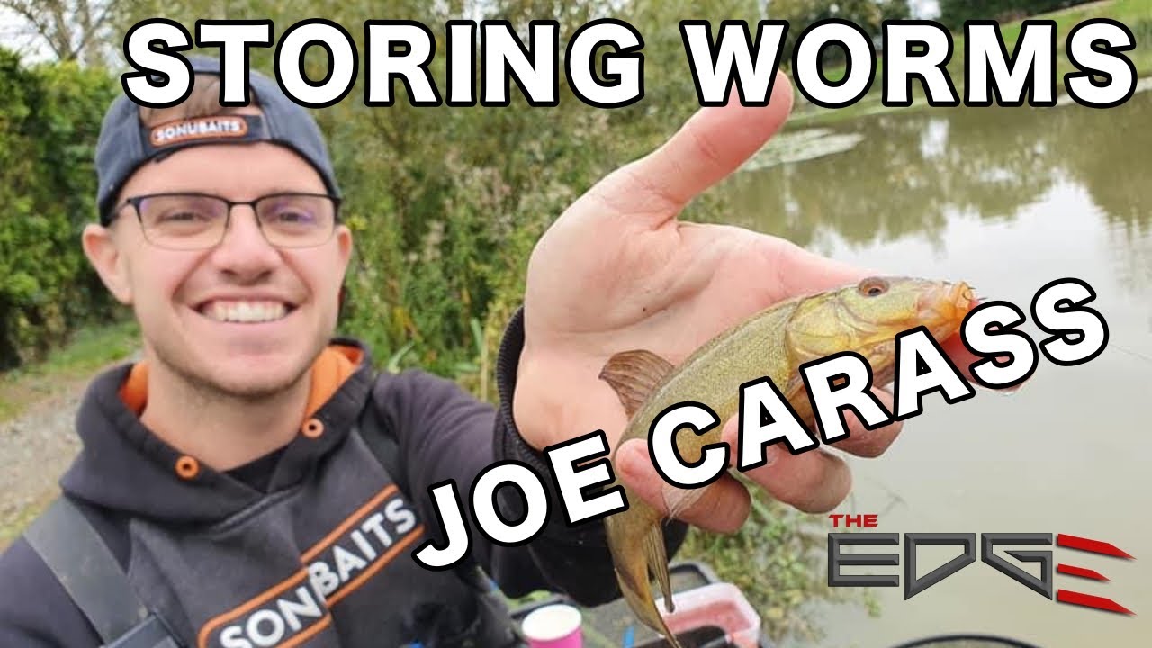 Storing Worms For Fishing with Joe Carass - Redworm collection and storage for fishing bait.