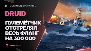 DRUID🔥ЗАСТРЕЛИЛ ВЕСЬ ФЛАНГ НА 300К УРОНА - World of Warships