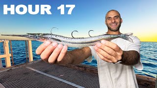 18 Hours Only Using Live Bait On A Pier