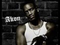 Akon ft. Ray Lavender - Against The Grain