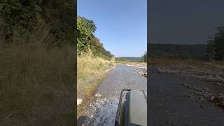 #safari #jungle #nature #kalyansinghmehra #vlog #sitabani #tourism #uttarakhand #shorts