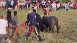 पहल झज खड शव मदन द. २८१०२०२५