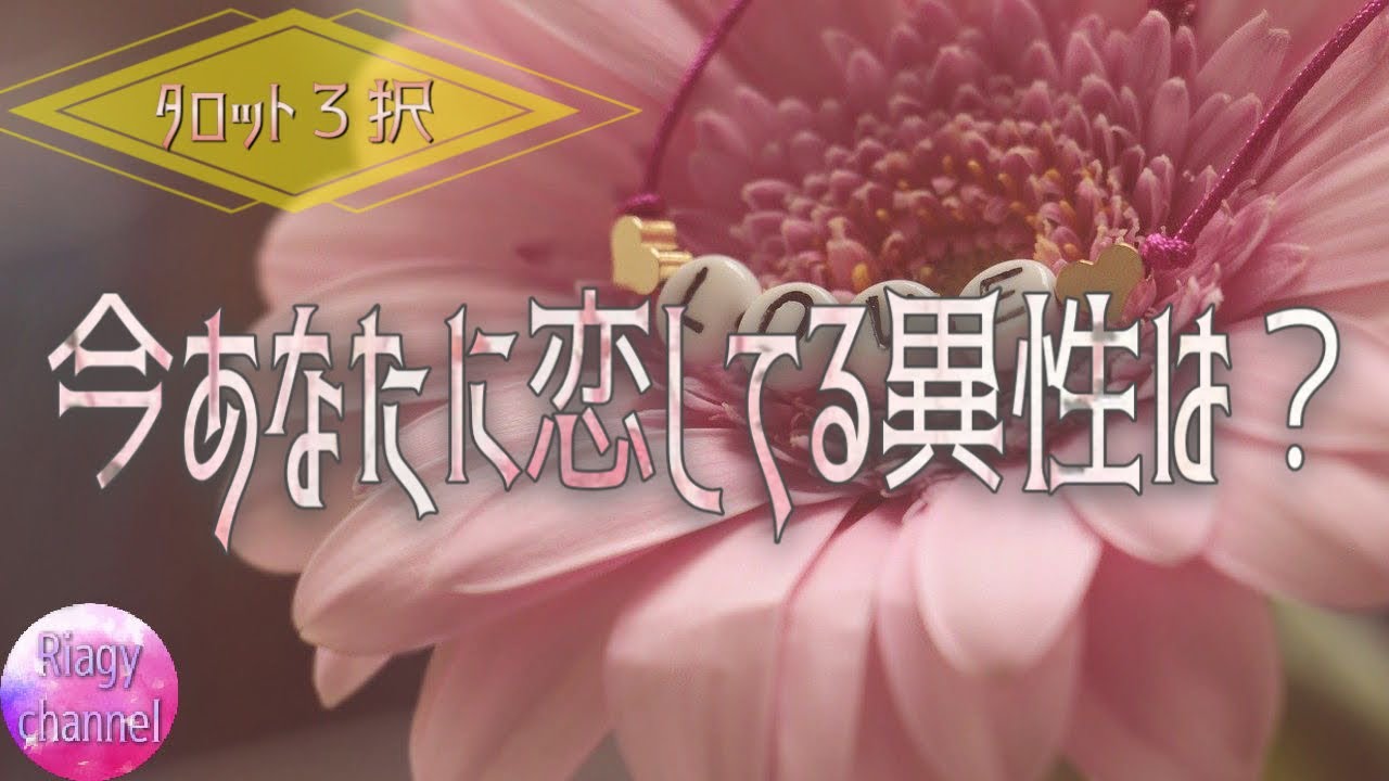 今あなたに恋してる異性は タロット 恋愛 好きな人 Youtube 今あなたに恋してる異性は タロット 恋愛 好きな人 Youtube
