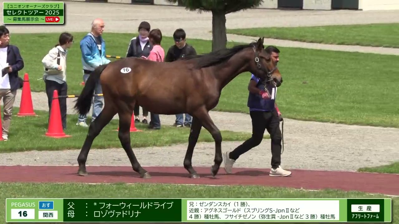 ユニオンオーナーズクラブ セレクトツアー2025~募集馬展示会~ 編集版
