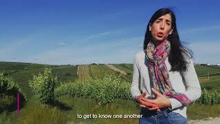 MEDCLIV project - presentation video