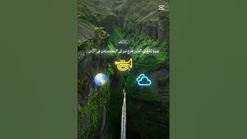 ألم يروا أنّا جعلنا الليل ليسكنوا فيه#القارئ #ياسر_الدوسري 💚🌿