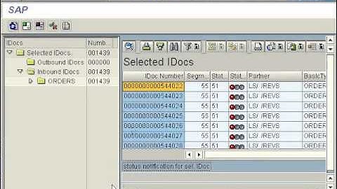 SAP ABAP FI CO SD WE02 Display IDOCS!