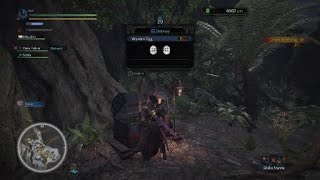 Monster Hunter World: Got Lost With the Wyvern Egg