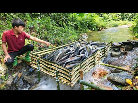 The talented boy made a bamboo fish trap himself and caught a lot of ...