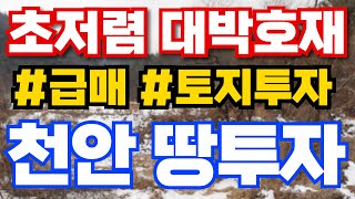 천안 땅투자 이것만 기억하면 초대박! 영상에서 확인하세요 010-3391-6663