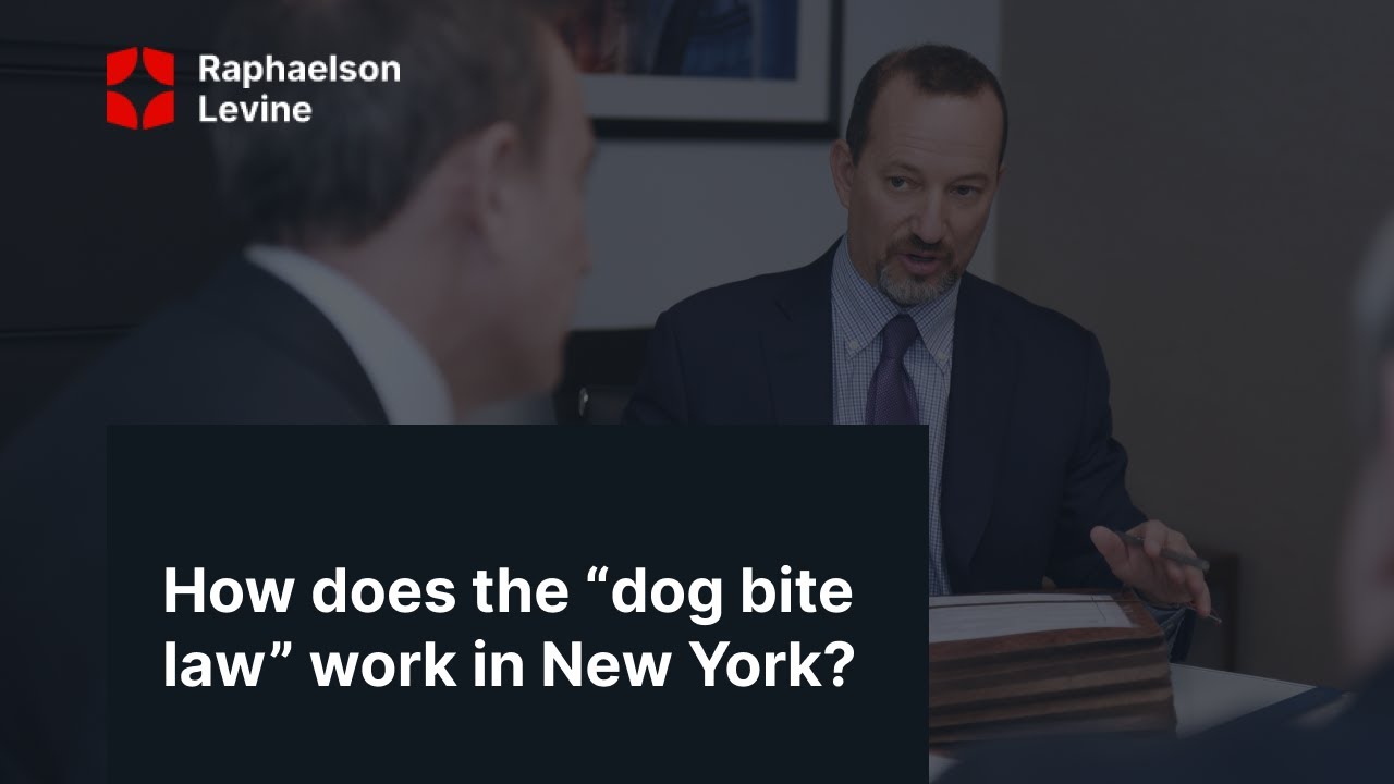 How does the “dog bite law” work in New York? Raphaelson & Levine Law