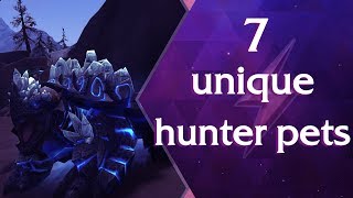 7 Unique Hunter Pets in World of Warcraft