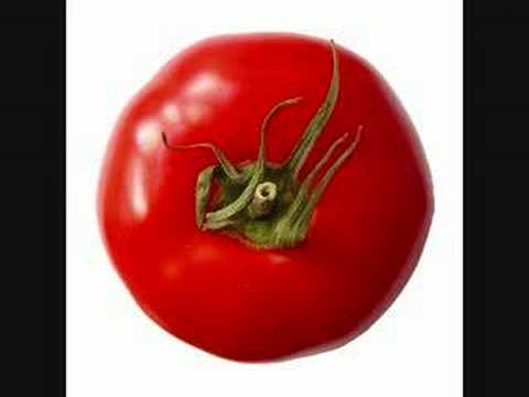 tomatenplukkers mp3