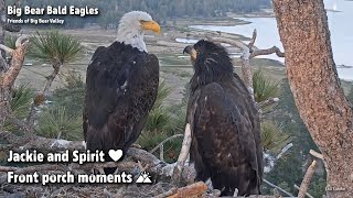 Big Bear🦅Jackie & Spirit❤️️Front Porch Moments🌅2022-05-24