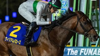 Union ウルトラ　早い者勝ち Tokyo Yushun: Race Favorite Croix du Nord Delivers