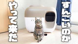 スマート猫トイレパイセンが来たぞ【PetSnowy】