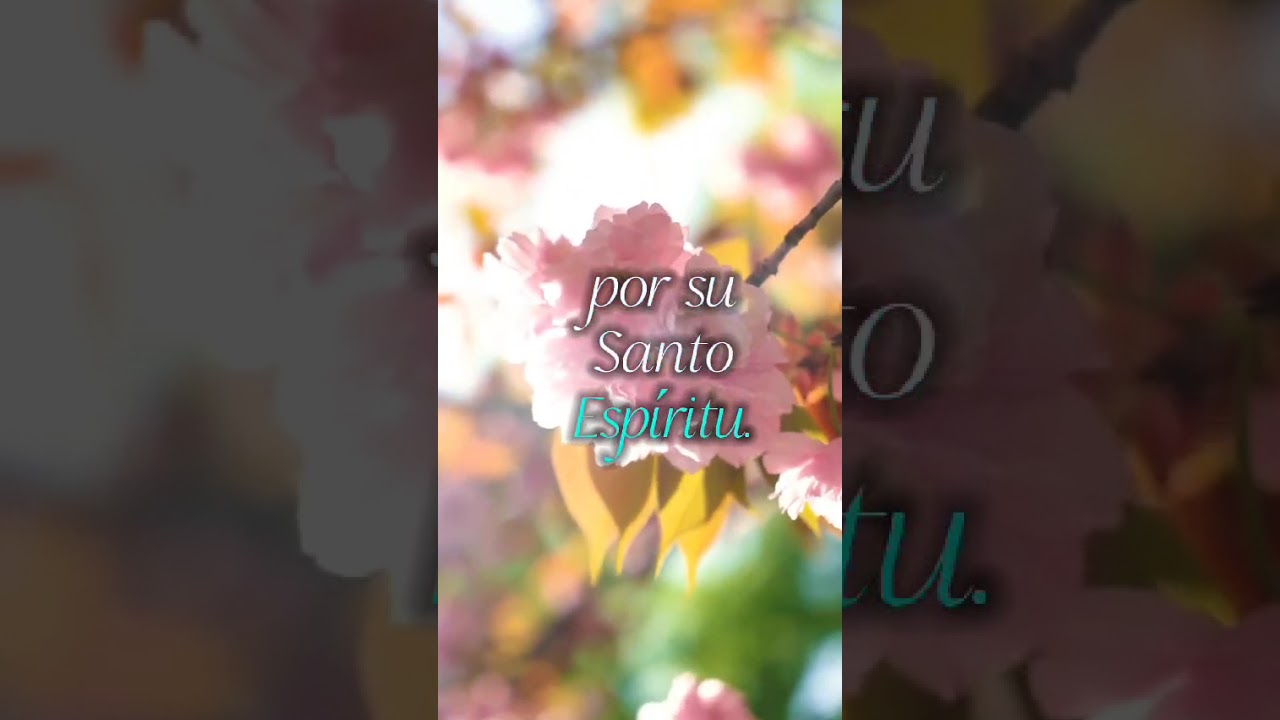 El Verbo (Adulamitas) 