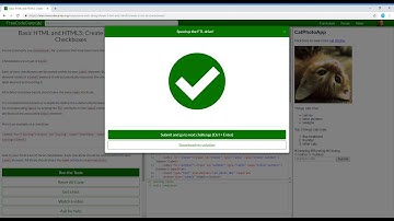 Basic HTML and HTML5  Create a Set of Checkboxes   Learn freeCodeCamp23/28