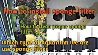 Sponge filter & how to clean proper ...