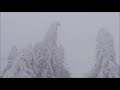 13.01.2019 - Unwetterartiger Schneesturm mit katastrophalem Schneebruch rund um Sankt Enlgmar