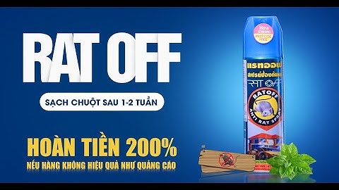 Đuổi chuột hiệu quả suốt 6 tháng với bình Xịt đuổi chuột Rat Off