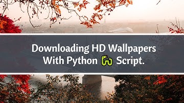 Wrote a Python Script to Download Thousands of HD Wallpapers. 🔥🔥
