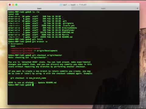 GiT Lab 13: Clone all remote branches with GiT