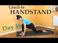 Couch to Handstand | DAY 16 - building trust | The Art of Handbalancing
