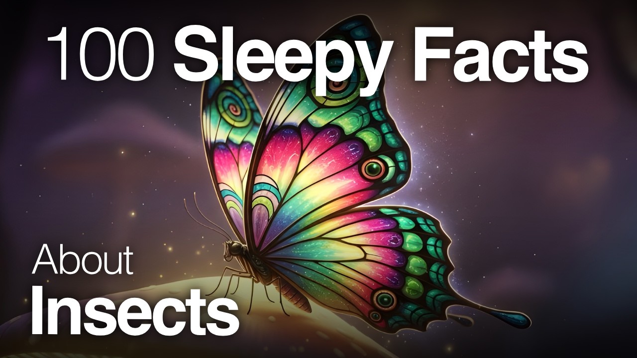 The Most Relaxing Facts About Insects to Fall Asleep To