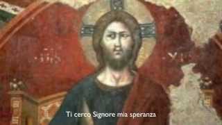 Ti cerco Signore mia speranza - Fabio Massimillo chords