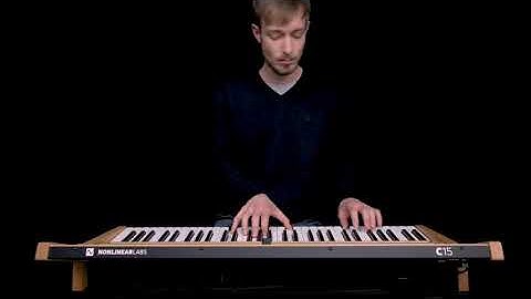 Nonlinear Labs C15 - Vista Club