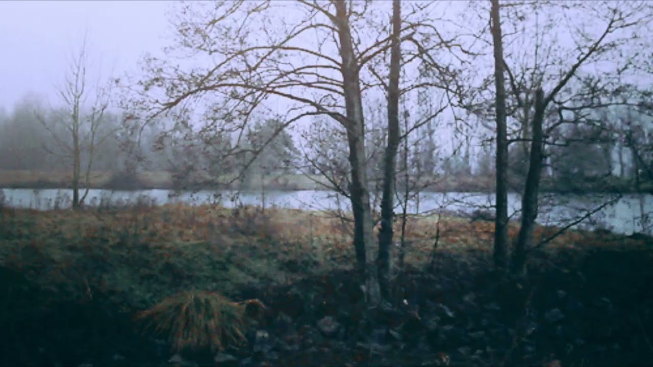 Chernikovskaya Hata - Зеленоглазое такси ( slowed + reverb )