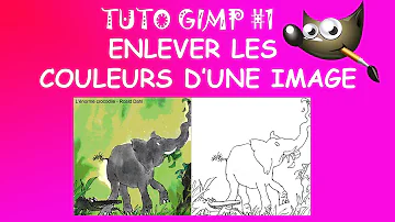 Comment effacer une couleur sur Gimp ?