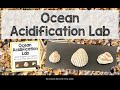 Ocean acidification lab