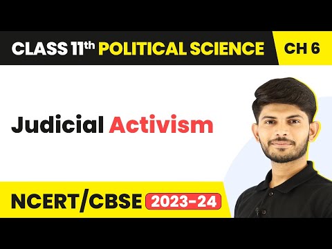 Class 11 Political Science Chapter 6 | Judicial Activism - Judiciary