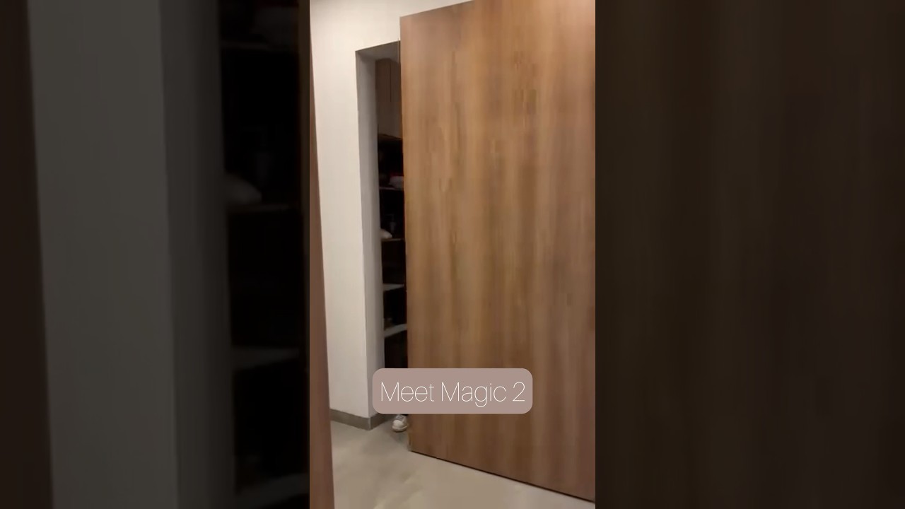Transform your space with the elegance and innovation of Magic 2! 🚪✨