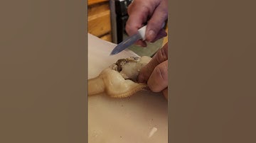 cleaning razor clams pt3