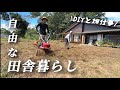 【田舎暮らし】荒れに荒れた畑を再生していく/移住して開拓中【移住103】
